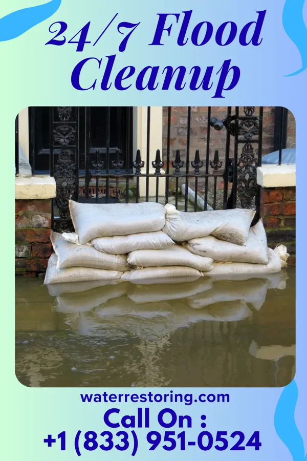 24/7 Flood Cleanup in Cisne, IL