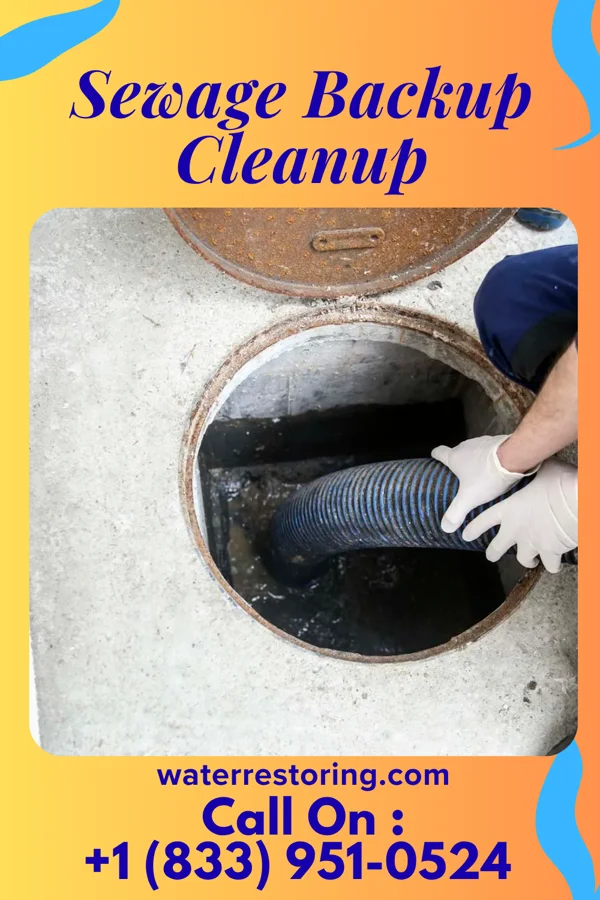 Sewage Backup Cleanup in Cisne, IL