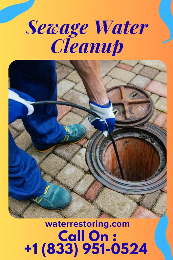 Sewage Water Cleanup in Cisne, IL